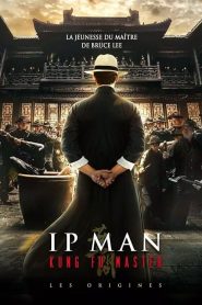 Ip Man Kung Fu Master (2019)