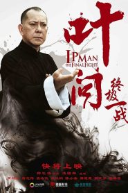 Ip Man The Final Fight (2013) หมัดสุดท้าย ปรมาจารย์ยิปมัน