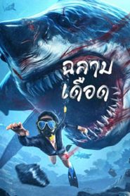 Shark Evil (2023) ฉลามเดือด