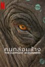 The Elephant Whisperers (2022) คนกล่อมช้าง