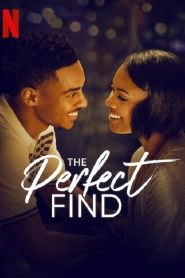 The Perfect Find (2023)